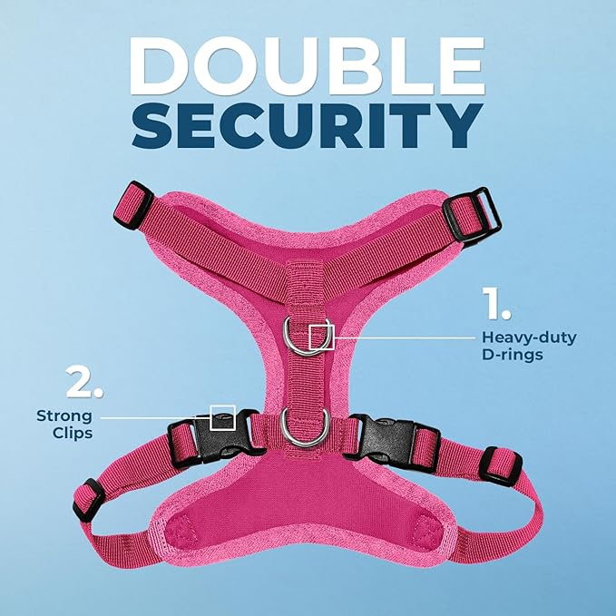 Voyager Step-in Lock Dog Harness w Reflective Dog Leash Combo Set with Neoprene Handle 5ft - Supports Small, Medium and Large Breed Puppies/Cats by Best Pet Supplies - Fuchsia, XS