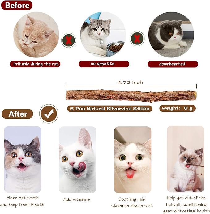 3 PCS Cat Wand Toys, 16 Inch Natural Wooden Cat Teaser Wand Toys with 5 PCS Silvervine Sticks for Cat, Interactive Cat Feather Wand Toy for Indoor Cats, Elastic String Cat Pole Toy with Bell, Feather