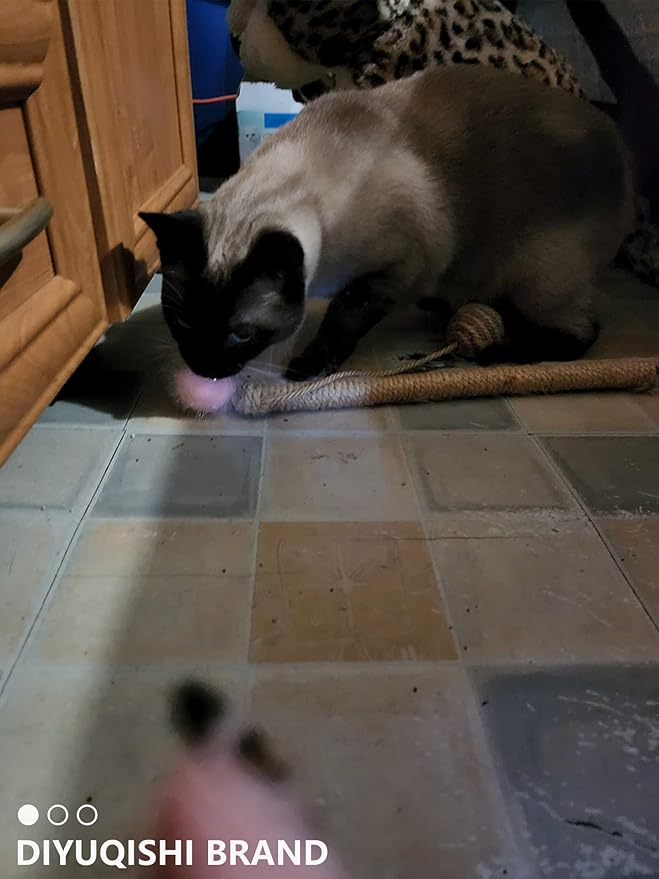 50 PCS Cat Ball Toys for Indoor Cats, Interactive Cat Toy Balls for Exercise and Entertainment Cat Toys for Small and Medium Breed Sizes