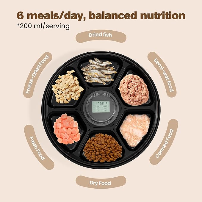 Automatic Cat Feeder Wet Food: Cordless Dog Food Dispenser - Small Pet Fresh Food Refrigerated Container with 2 Ice Packs - Programmable Timer AA Battery Powered Kitten Feeding Bowls - 6 Meals Per Day