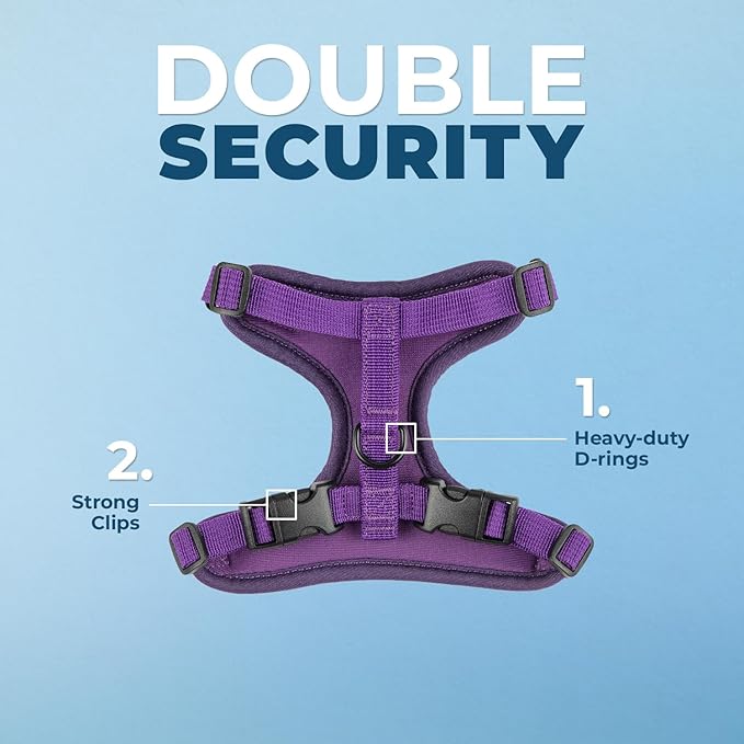 Voyager Escape Proof Cat Harness and Leash Set with Reflective Stitching, Neoprene Handle 5ft - Supports Small, Medium and Large Cats, Kittens for Walking by Best Pet Supplies - Purple, XXS