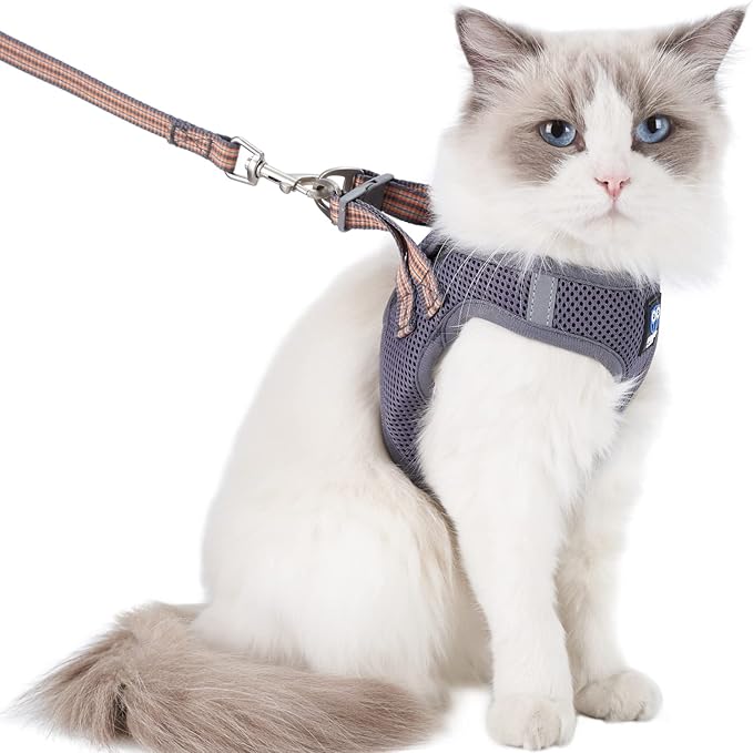 Cat Harness and Leash for Walking Escape Proof, Adjustable Soft Grey XXS Chest: 9 - 11inch