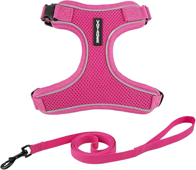 Voyager Escape Proof Cat Harness and Leash Set with Reflective Stitching, Neoprene Handle 5ft - Supports Small, Medium and Large Cats, Kittens for Walking by Best Pet Supplies - Fuchsia, XXXS