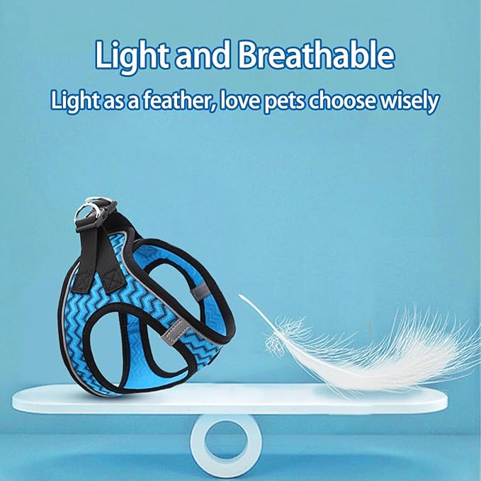 Cat Harness and Leash Set for Walking and Small Dog Soft Mesh Harness Adjustable Vest with Reflective Strap Comfort Fit for Pet Kitten Puppy Rabbit （Blue Stripe,XS）