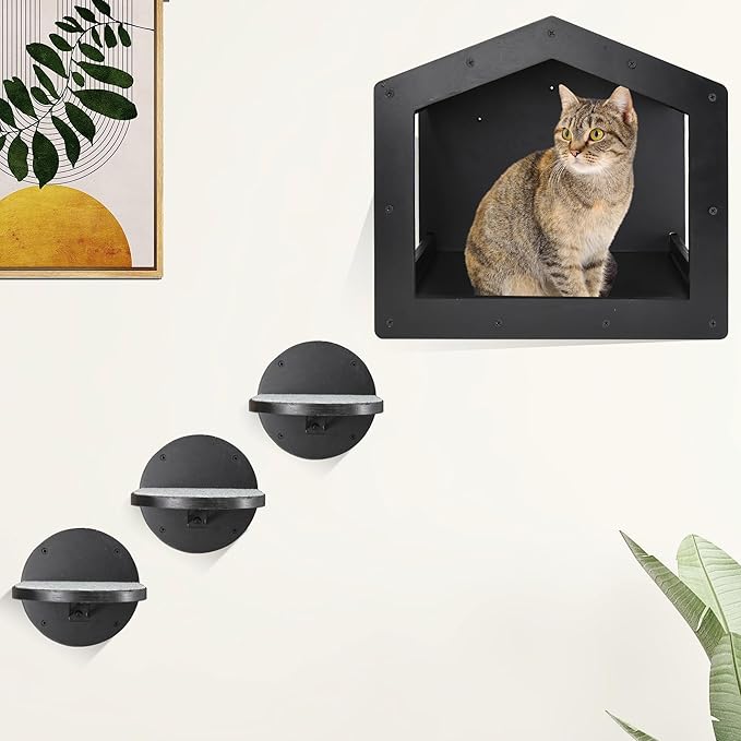 Cat Wall Shelves, Cat Shelves and Perches for Wall, Cat House Fit Cat Up to 25Lbs, 1 Cat Condo House and 3 Large Cat Steps with Scratching Pad, Cat Climbing Shelf for Indoor, Cat Wall Furniture