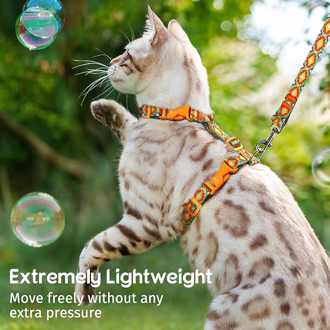 Dooradar Cat Harness and Leash, Escape Proof Adjustable Kitten Vest, Lightweight Soft Pet Straps, Easy Wearing for Small Medium Kitty Safe Walking Travel Control, Multicolor, M