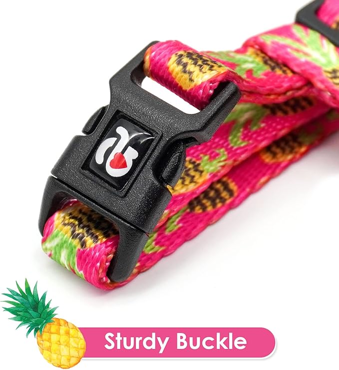 azuza Cat Harness and Leash Set for Safe Walking and Travel, Escape Proof Cat Harness, Lightweight Soft and Comfortable, Adjustable Kitten Harness for Small Medium Large Cats, Pineapple