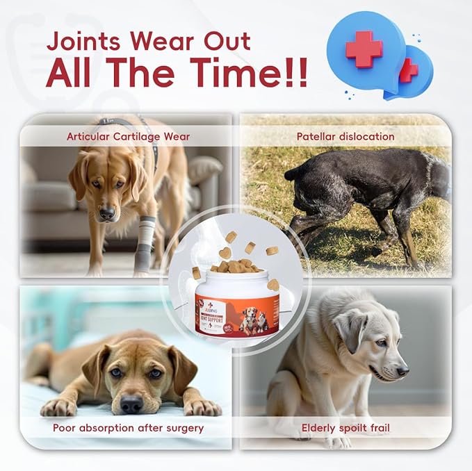 2-Pack Hip and Joint Supplement for Dogs, 200 Chews - Glucosamine Chondroitin for Dogs, Joint & Hip Health, Arthritis Pain Relief, Supports Immune System & Vitamins - Ideal for All Ages & Large Breeds