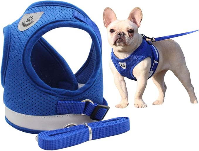 Comfort Step-in Cat Dog Harness and Leash Set for Puppies Cats Kitty Escape Proof Pet Vest Harnesses for Small Animals Rabbit/Mouse/Cats (M:3-4.5KG, Blue)