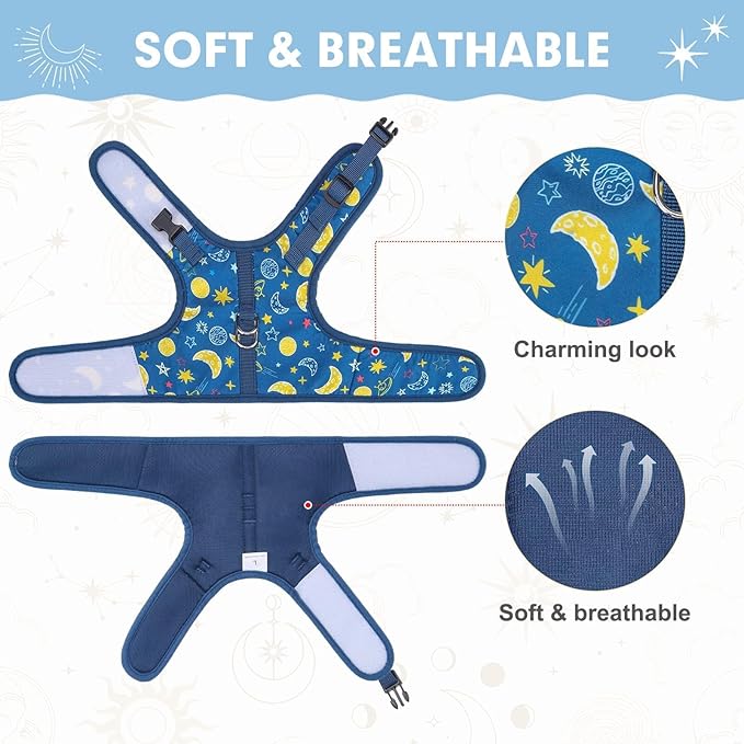 BINGPET Cat Harness with Leash Escape Proof - Fashionable Mesh Cat Dog Walking Harness Leads, Adjustable for Kitties Puppies Small Animals,Galaxy,M