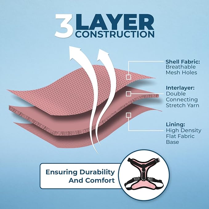 Voyager Step-in Lock Adjustable Cat Harness w. Cat Leash Combo Set with Neoprene Handle 5ft - Supports Small, Medium and Large Breed Cats by Best Pet Supplies - Pink/Black Trim, XXS