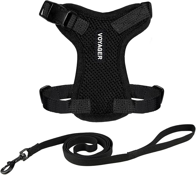 Voyager Step-in Lock Adjustable Cat Harness w. Cat Leash Combo Set with Neoprene Handle 5ft - Supports Small, Medium and Large Breed Cats by Best Pet Supplies - Black, XS