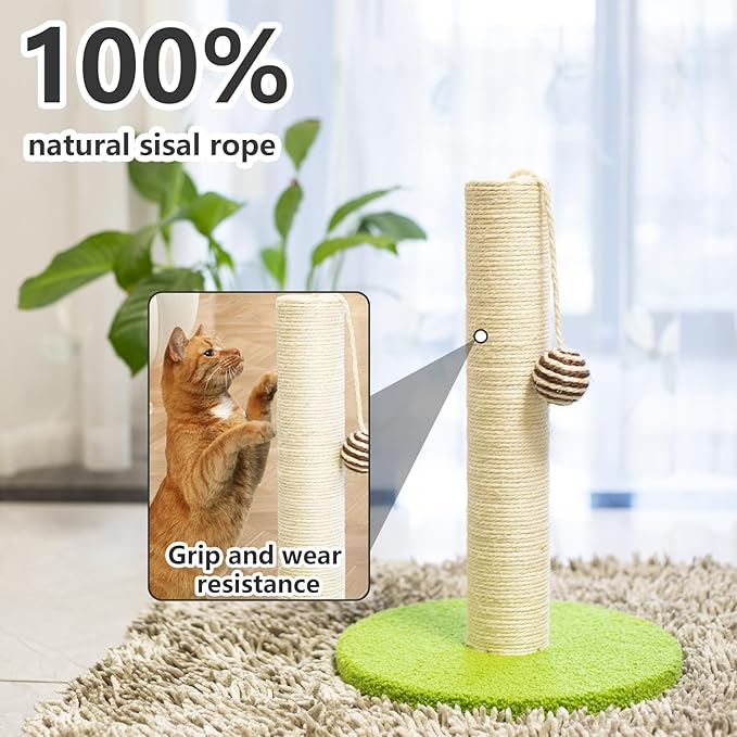 17 Inch Tall Cat Scratching Post Cat Scratcher- Sisal Rope and Carpet Scratching Pole with Hanging Ball Toy for Adult Cats and Kittens (Green)