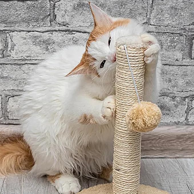 PET SHOW 1/4 inch 6mm Cats Sisal Rope 328 Feet(100M) Cat Scratching Post Replacement Hemp Rope for Repairing Recovering DIY Scratcher Twine String for Kittens Tree Tower Toys