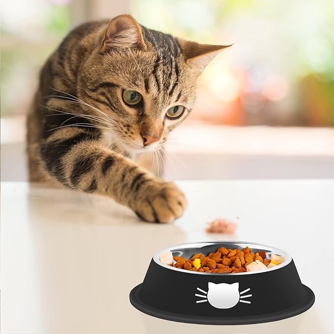 2Pcs Cat Bowls Non-Slip Stainless Steel Small Cat Food Bowls Unbreakable Thicken Cat Feeder 13 Oz Cat Dishes Suitable for Indoor Small Pets Removable Rubber Base Easily Clean Lovely Color