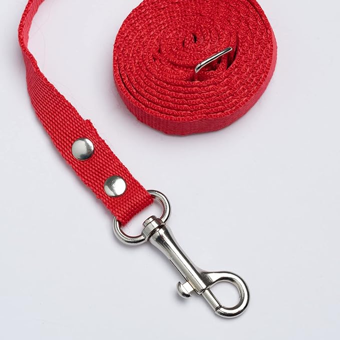 Cat Harness and Leash Set, Cats Escape Proof - Adjustable Kitten Harness for Large/Medium/Small Cats, Walking Travel Petsafe Harness (Boom!, Large)