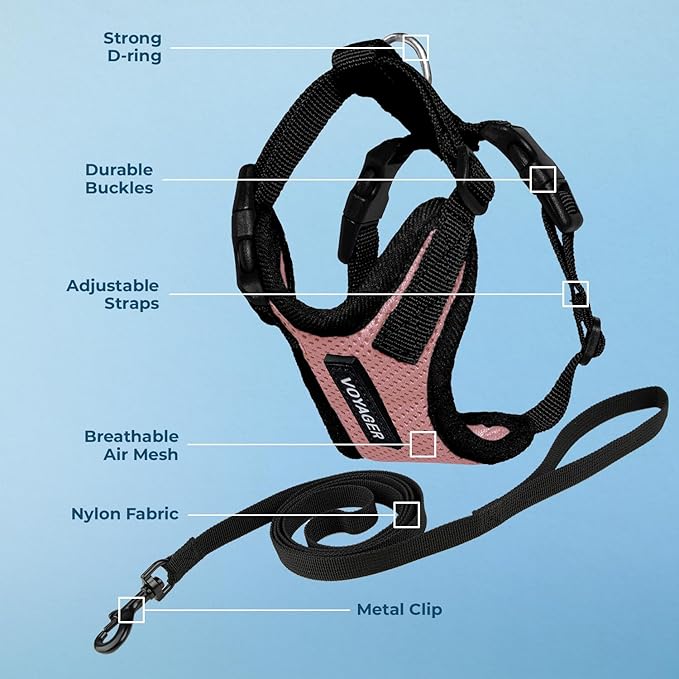 Voyager Step-in Lock Adjustable Cat Harness w. Cat Leash Combo Set with Neoprene Handle 5ft - Supports Small, Medium and Large Breed Cats by Best Pet Supplies - Pink/Black Trim, XXS