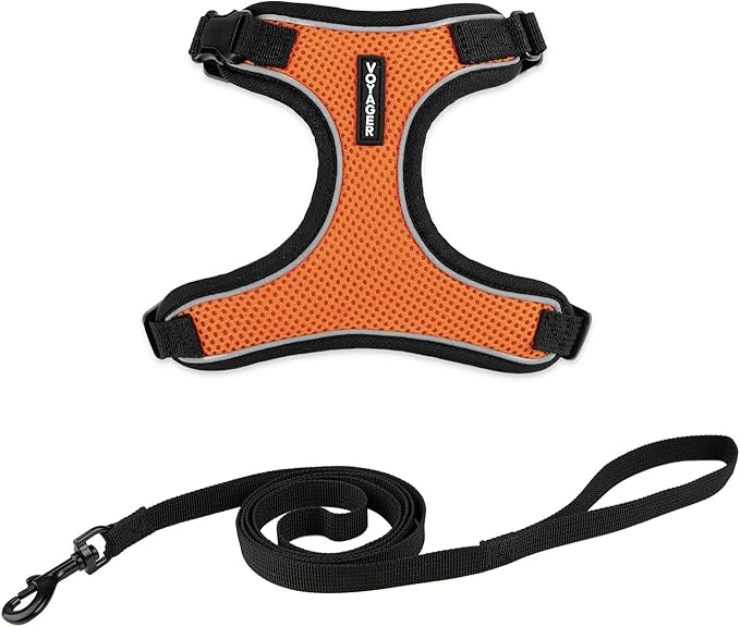 Voyager Escape Proof Cat Harness and Leash Set with Reflective Stitching, Neoprene Handle 5ft - Supports Small, Medium and Large Cats, Kittens for Walking by Best Pet Supplies - BT-Orange, XXXS