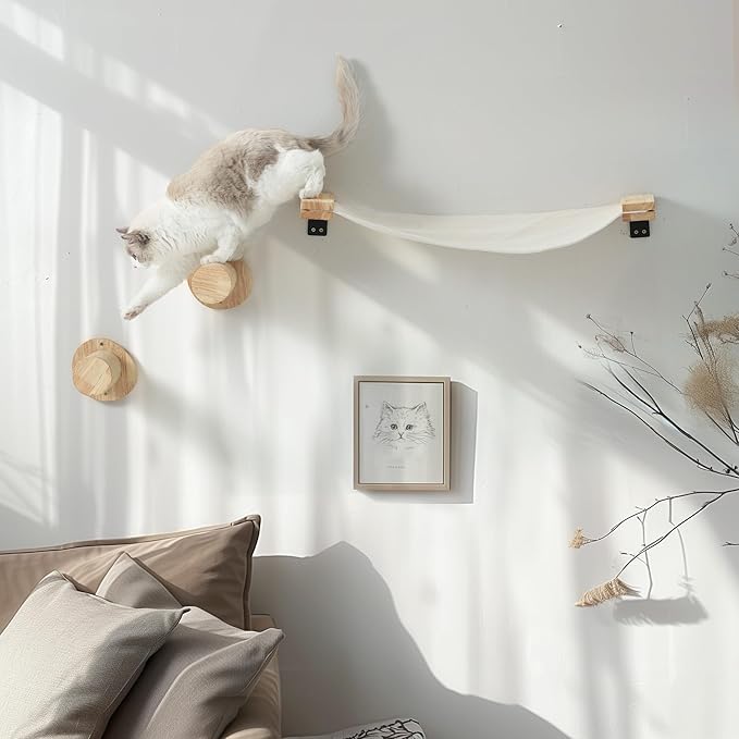 FUKUMARU Cat Wall Furniture, 2 PCS Cat Wall Climbing Shelves Set, Solid Rubber Wood Cat Shelf, Cat Shelves and Perches for Wall Sleeping, Playing, Climbing and Lounging, 16 inch Drywall Installation