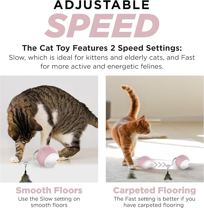 Auto Rolling Cat Ball Toy - Interactive Self Moving Automatic Cat Toy with Tail Feather Attachments - Slow & Fast Speed, LED Rainbow Lights, Sound & Touch Activated - USB-C Rechargeable