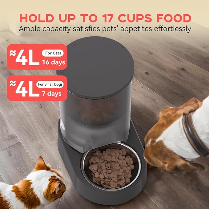 Automatic Cat Feeder, Rechargable 4L Cat Food Dispenser, Timed Pet Feeder with Dry Food Dispenser,Auto Feeder Up to 6 Meals, 6 Portions Per Meal - Grey
