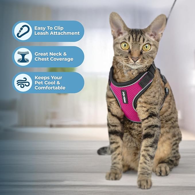 Voyager Escape Proof Cat Harness and Leash Set with Reflective Stitching, Neoprene Handle 5ft - Supports Small, Medium and Large Cats, Kittens for Walking by Best Pet Supplies - BT-Fuchsia, XXXS