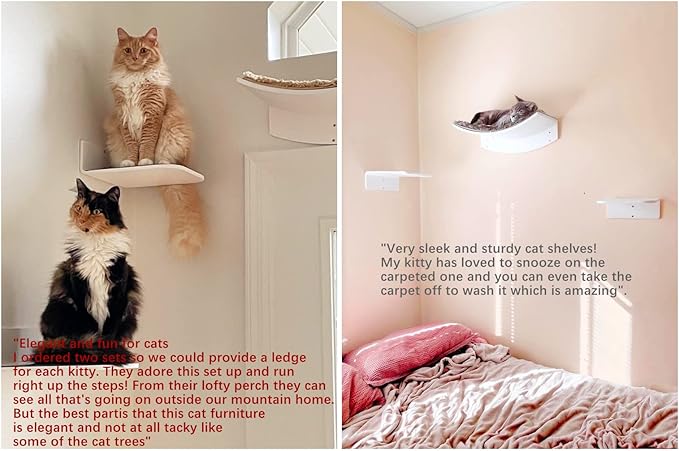 Cat Steps Wall Mounted Floating Cat Shelf Furniture Climbing Wall for Cat Perching Sleeping Lounging with 2 Steps (Steps)