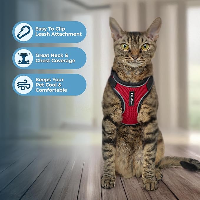 Voyager Escape Proof Cat Harness and Leash Set with Reflective Stitching, Neoprene Handle 5ft - Supports Small, Medium and Large Cats, Kittens for Walking by Best Pet Supplies - Black Trim-Red, XS