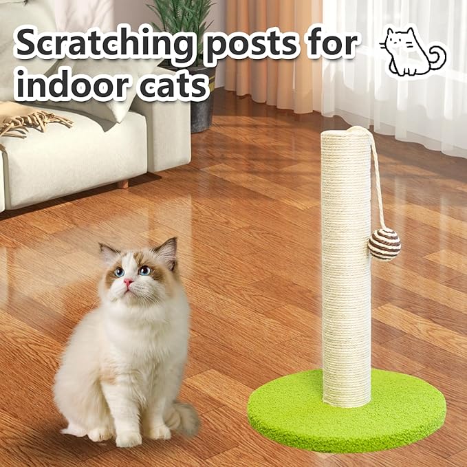 17 Inch Tall Cat Scratching Post Cat Scratcher- Sisal Rope and Carpet Scratching Pole with Hanging Ball Toy for Adult Cats and Kittens (Green)