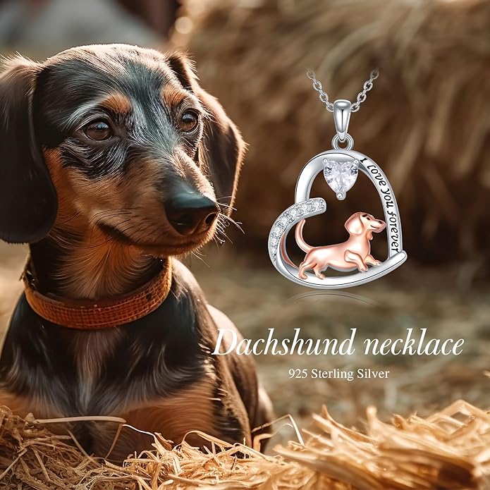 Dachshund Necklace 925 Sterling Silver Dachshund Birthstone Pendant Cute Animal Puppy Dog Dachshund Jewelry Gifts for Women Dachshund Lover