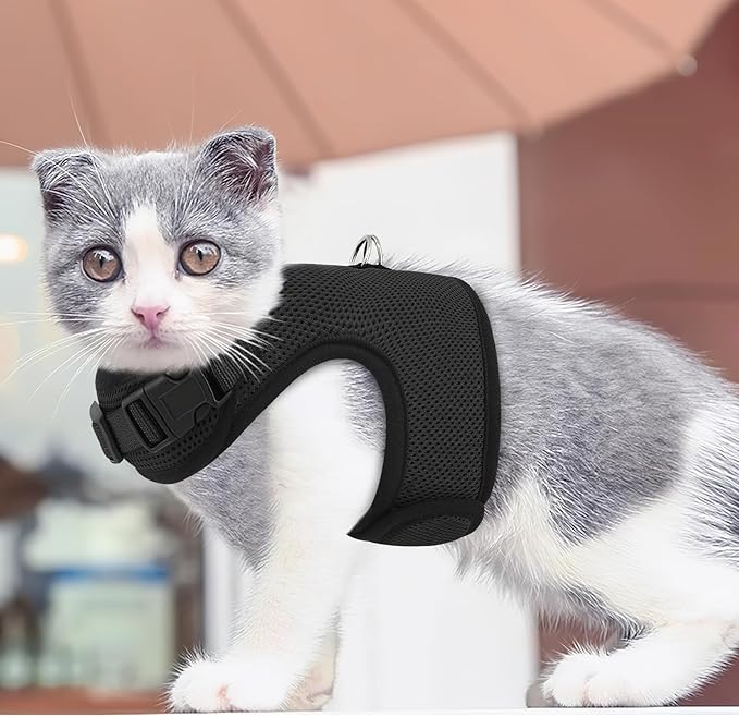 MoNiBloom Soft Cat Harness for Walking Escape Proof and Travel, Kitten Adjustable Breathable Vest Harness - Black, M