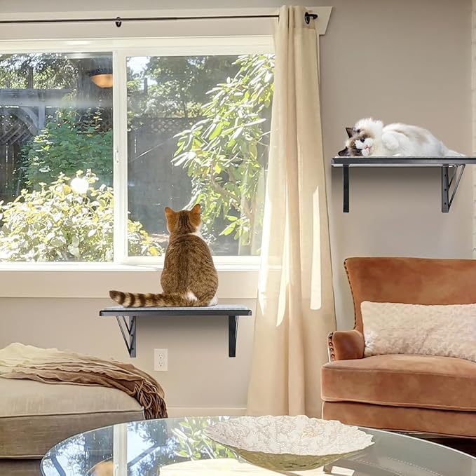 Cat Wall Shelves Set of 2, Wood Cat Shelves for Wall, Cat Wall Bed Hammock with Scratching Pad, Cat Climbing Shelf for Sleeping Playing, Cat Window Perch for Large Cats, Black Cat Furniture for Indoor