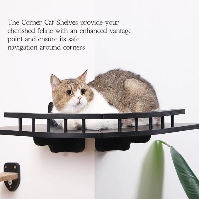 Cat Shelves for Wall, 2 Pcs Cat Wall Shelves with 3 Cat Wall Steps, Wood Cat Wall Furniture Set with Plush Covered, Wall-Mounted Cat Climbing Shelves Cat Perch for Indoor Large Cat (Black)