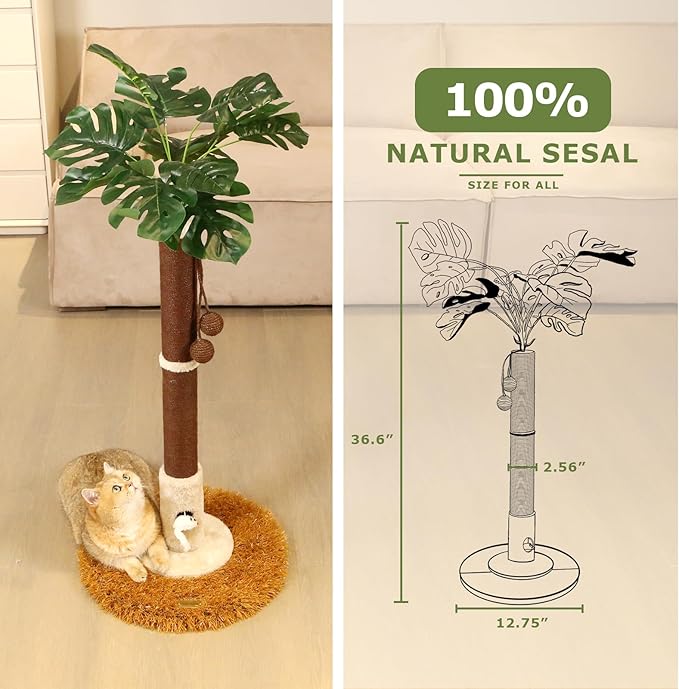 Cat Scratching Posts Cat Trees 35.43" Tall with Sisal Rope Cat Toy and Hanging Ball for Indoor,Wooden Palm Tree Cat Scratch Pole for All Cat (Brown)