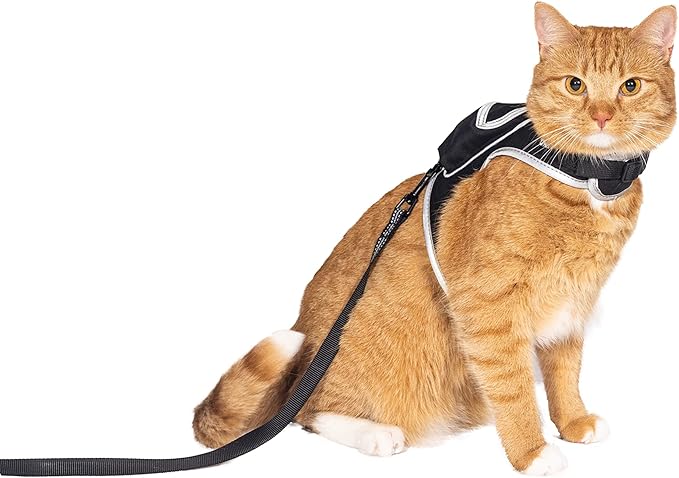 Travel Cat & Stray Cat Harness and Leash Set - Adjustable Velcro Mesh Cat Harness and Strong Nylon Leash Kit - Comfort Escape Proof Harness for Cats, Kitten for Outdoor Walking,Hiking (Medium:9-11 in)