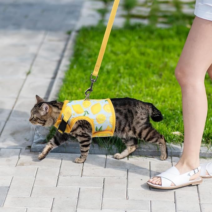 BINGPET Cat Harness and Leash Set Escape Proof for Walking,Step-in Harness with Lightweight Soft Breathable Mesh,Adjustable Easy Control Harness (Sunshine Citrine, L(Chest:12.5-16.5"))