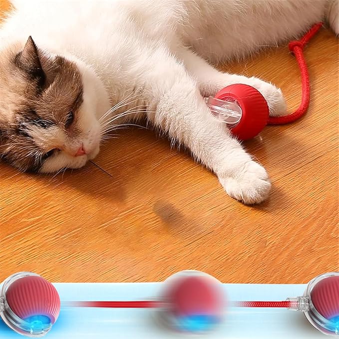 2PC Interactive Dog Toys,Interactive Dog Ball Electric Dog Ball Toy Rollie Pet Cat Toy Interactive Rolling Ball Cat Toy 360° Automatic Rolling Toy Ball for Dog/Cat (Red+Green)