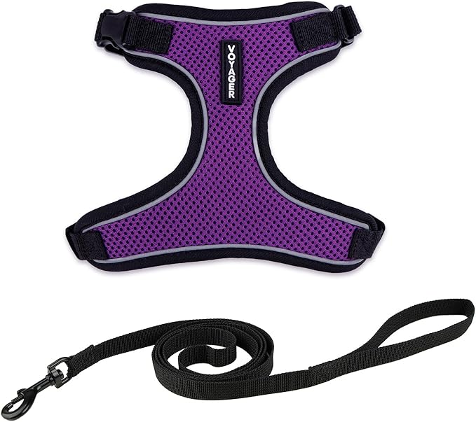 Voyager Escape Proof Cat Harness and Leash Set with Reflective Stitching, Neoprene Handle 5ft - Supports Small, Medium and Large Cats, Kittens for Walking by Best Pet Supplies - Black Trim-Purple, XS