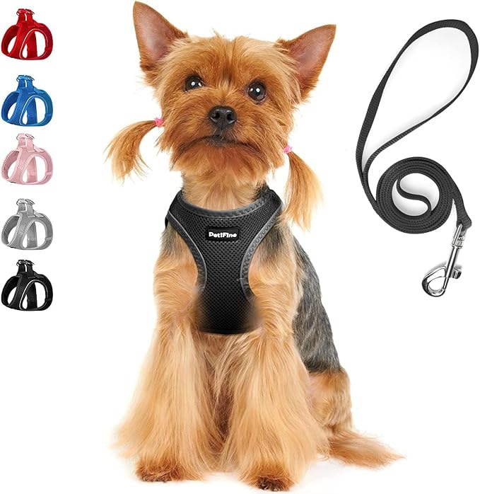 PetiFine Extra Small Step in Dog Harness and Leash Set, Cat Harness and Leash Escape Proof, All Weather Mesh Reflective, Step-in Air Vest Harnesses for Puppy(XXXS, Black)
