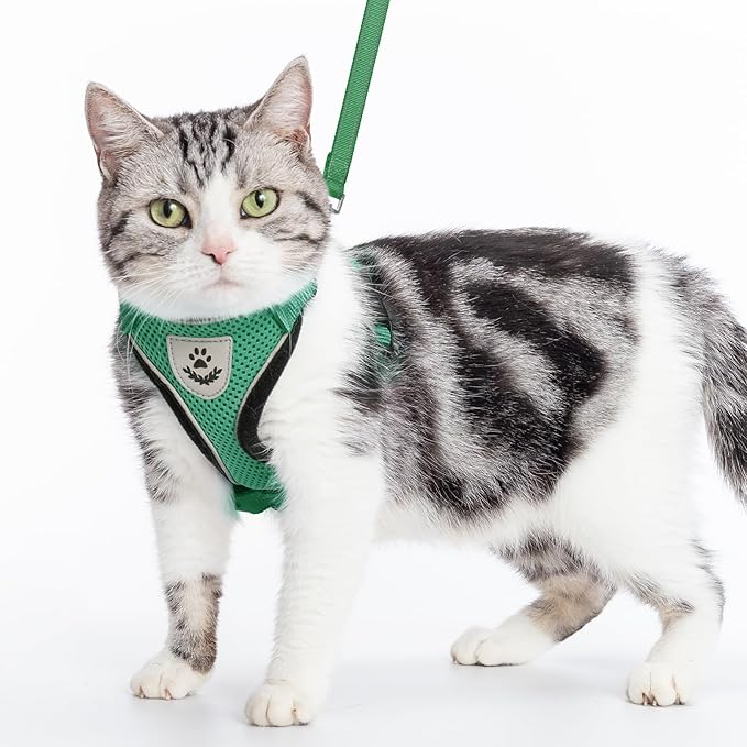 PUPTECK Cat Harness and Leash Set Escape Proof Reflective Cat Walking Harness Adjustable Soft Breathable Mesh Vest for Small Pets, Dark Green, S
