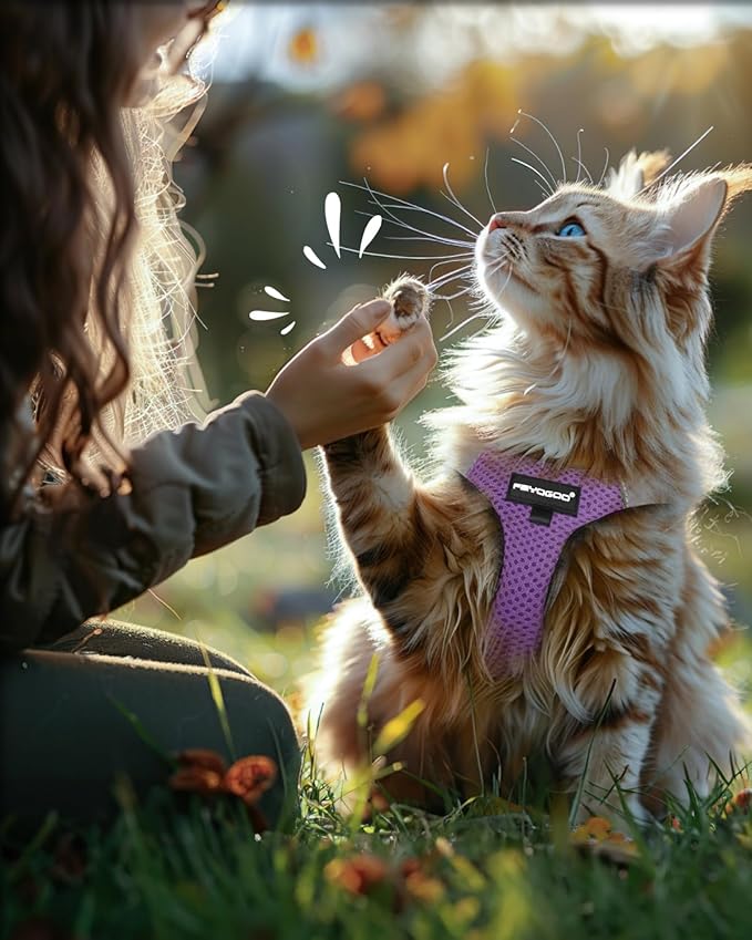 FAYOGOO Cat Harness, Cat Leash and Harness Set for Walking Escape Proof, Harness for Small Cats/Small Dogs, Large Kitten/Puppy Harness and Leash, Harness for Cats S-XXL(Modern Violet, Medium)