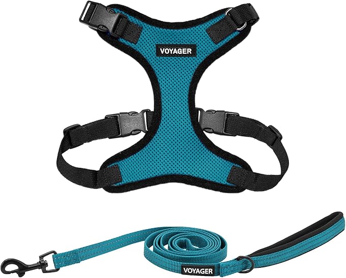 Voyager Step-in Lock Dog Harness w Reflective Dog Leash Combo Set with Neoprene Handle 5ft - Supports Small, Medium and Large Breed Puppies/Cats by Best Pet Supplies - Turquoise/Black Trim, XS