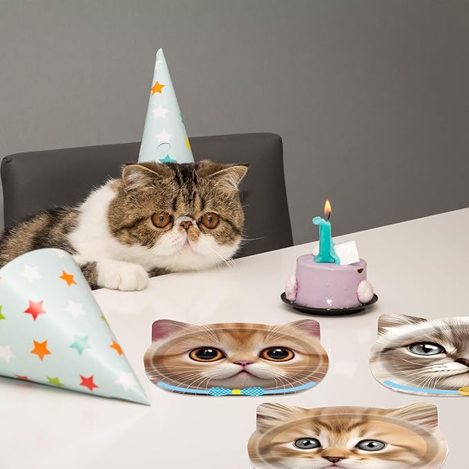 48 PCS Cat Birthday Party Decorations Cat Birthday Paper Plates Cat Theme Disposable Pet Party Plates for Kids Baby Shower Cat Party Supplies Serves 48