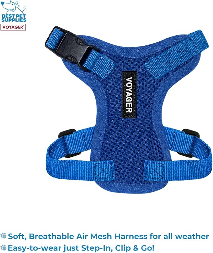 Voyager Step-in Lock Adjustable Cat Harness w. Cat Leash Combo Set with Neoprene Handle 5ft - Supports Small, Medium and Large Breed Cats by Best Pet Supplies - Royal Blue, XXXS