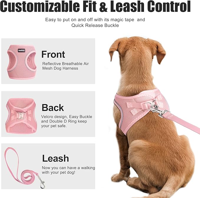 PetiFine Step in Small Dog Harness and Leash Set, Breathable All Weather Air Mesh Reflective Escape Proof, Step-in Vest Harnesses for Puppy(S, Pink)