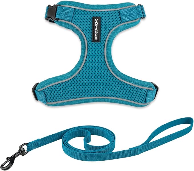 Voyager Escape Proof Cat Harness and Leash Set with Reflective Stitching, Neoprene Handle 5ft - Supports Small, Medium and Large Cats, Kittens for Walking by Best Pet Supplies - Turquoise, XXXS