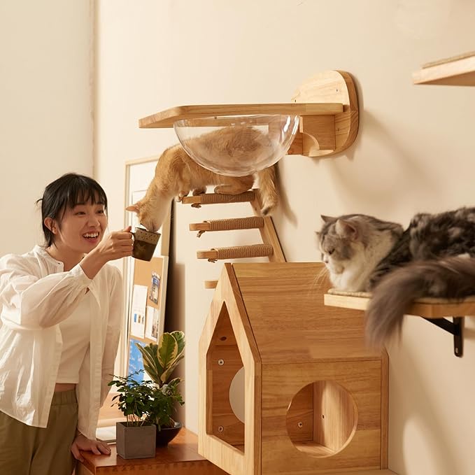FUKUMARU Cat Climbing Shelf Wall Mounted, Four Step Cat Stairway with Jute Scratching for Cats Perch Platform Supplies