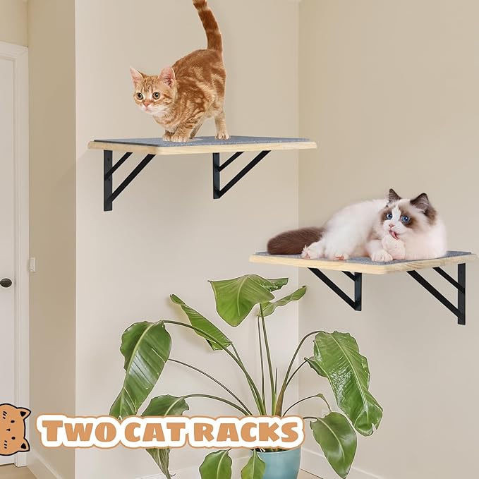 Cat Wall Shelves Set of 2, Wood Cat Shelves for Wall, Cat Wall Bed Hammock with Scratching Pad, Cat Climbing Shelf for Sleeping Playing, Cat Window Perch for Big Cats, Burlywood Cat Furniture Indoor