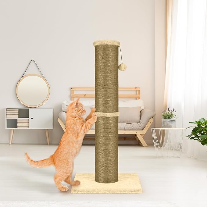 PAWSCRAT Cat Scratching Post 32 Inch High, 5.5 Inch Large Diameter Natural Sisal Cat Scratch Post, Scratch-Resistant and Durable Tall Cat Scratcher for Indoor Cats, Protect Your Furniture, Yellow