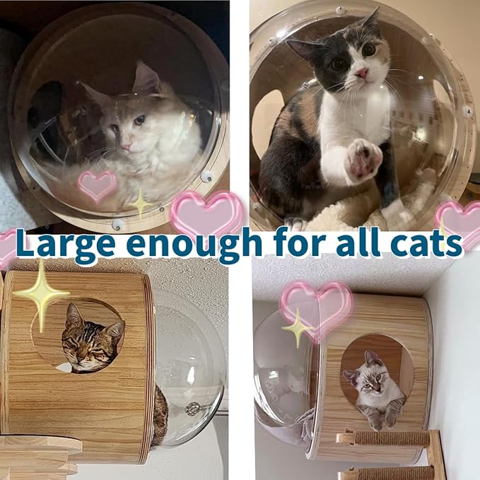 Wall-Mounted Cat Bed Furniture Round Space Capsule Acrylic Cat Perch Steps Cat Wooden Shelf Cat Lover Gift Cat Tree Tower-Classic Style-2